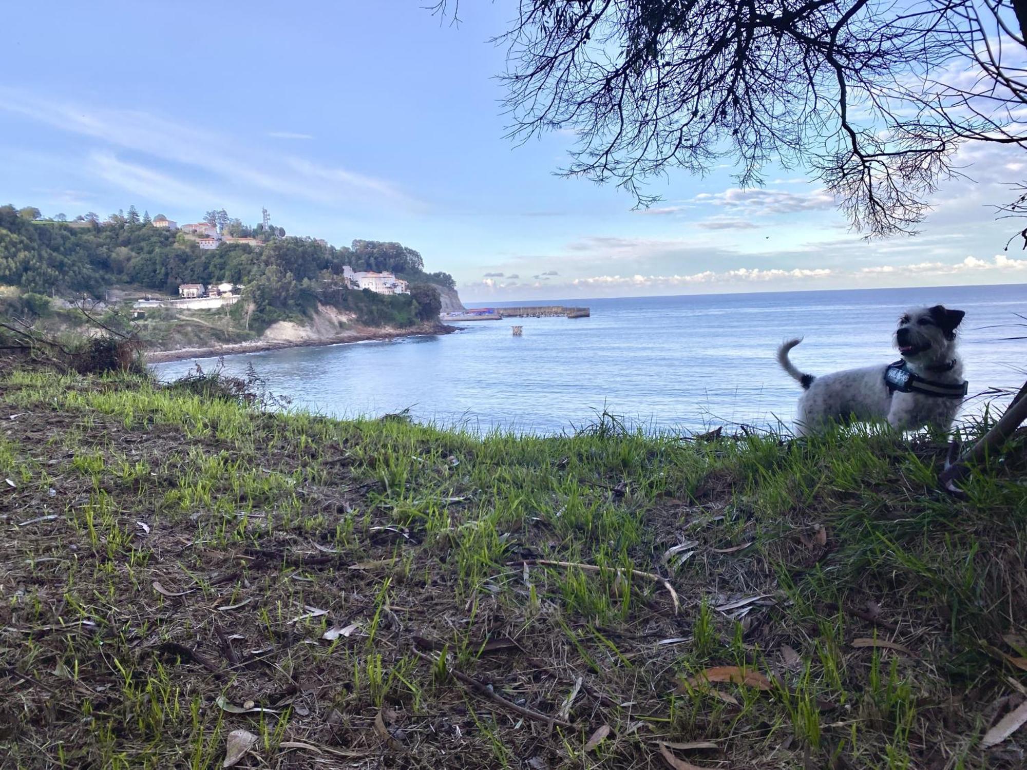 Respirando Salitre Apartamento En Lastres Luaran gambar